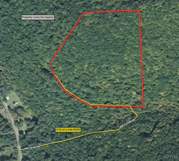 Co Rd 5, Genesee, New York 14770, Genesee, New York 14770, ,Land,For Sale,Co Rd 5, Genesee, New York 14770,0,S1647808