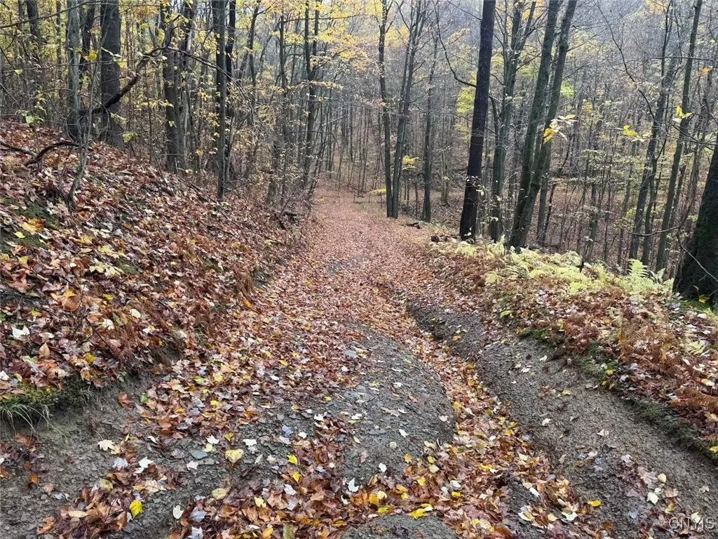 Co Rd 5, Genesee, New York 14770, Genesee, New York 14770, ,Land,For Sale,Co Rd 5, Genesee, New York 14770,0,S1647808
