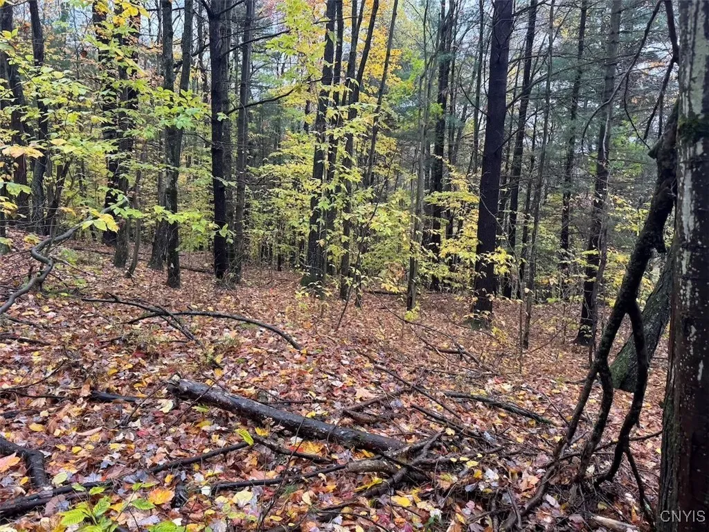 Co Rd 5, Genesee, New York 14770, Genesee, New York 14770, ,Land,For Sale,Co Rd 5, Genesee, New York 14770,0,S1647808