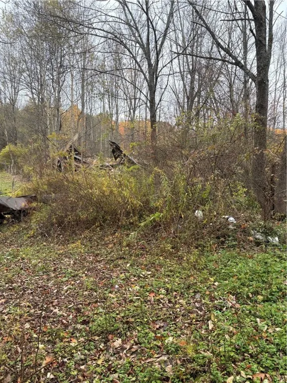 Pittsfield, New York 13411, ,Land,For Sale,0,R1647602