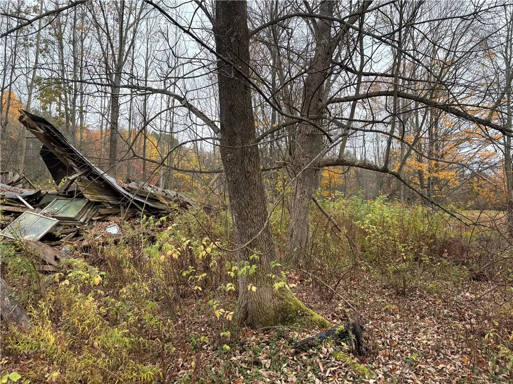 Pittsfield, New York 13411, ,Land,For Sale,0,R1647602