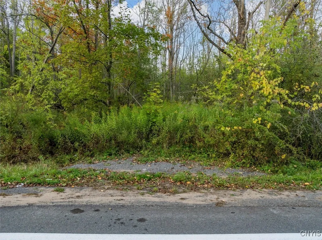 Glass Factory Road, Marcy, New York 13403, Marcy, New York 13403, ,Land,For Sale,Glass Factory Road, Marcy, New York 13403,0,S1643790