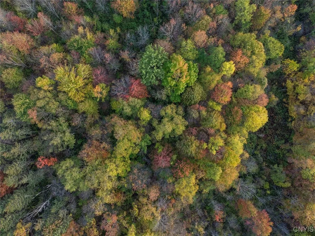 Glass Factory Road, Marcy, New York 13403, Marcy, New York 13403, ,Land,For Sale,Glass Factory Road, Marcy, New York 13403,0,S1643790