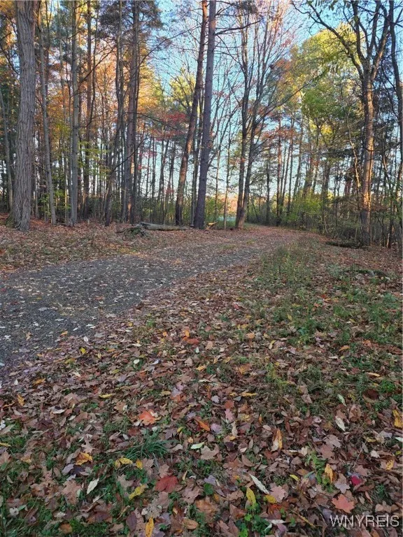 12573 Wardtown Road, Perrysburg, New York 14129, Perrysburg, New York 14129, 3 Bedrooms Bedrooms, 8 Rooms Rooms,2 BathroomsBathrooms,Residential,For Sale,12573 Wardtown Road, Perrysburg, New York 14129,0,B1647849