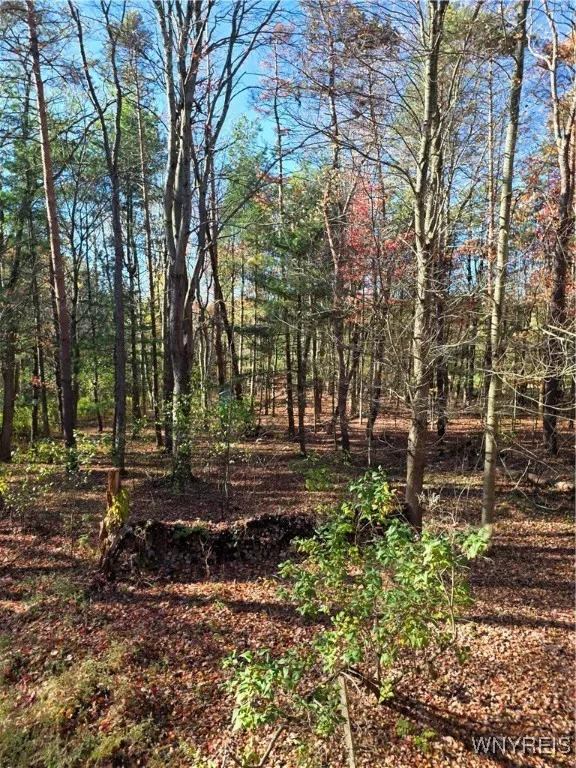 12573 Wardtown Road, Perrysburg, New York 14129, Perrysburg, New York 14129, 3 Bedrooms Bedrooms, 8 Rooms Rooms,2 BathroomsBathrooms,Residential,For Sale,12573 Wardtown Road, Perrysburg, New York 14129,0,B1647849