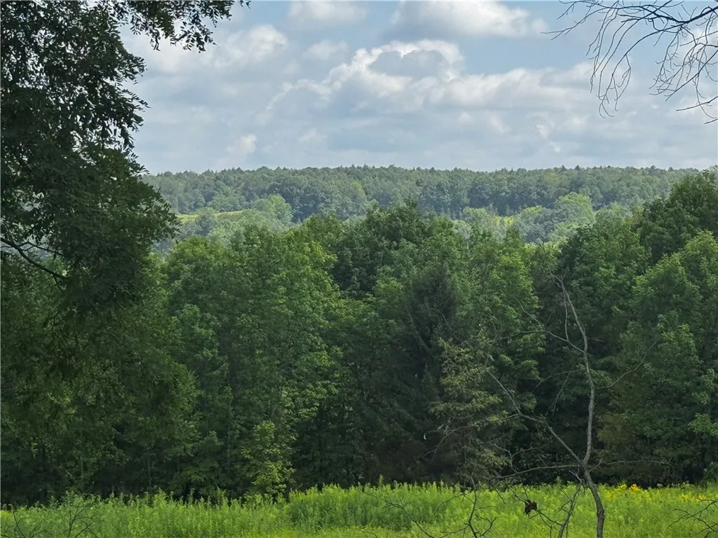 Ramey Road, Pittsfield, New York 13411, Pittsfield, New York 13411, ,Land,For Sale,Ramey Road, Pittsfield, New York 13411,0,R1645454