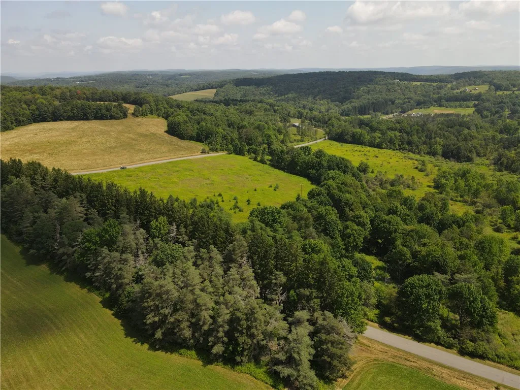 Ramey Road, Pittsfield, New York 13411, Pittsfield, New York 13411, ,Land,For Sale,Ramey Road, Pittsfield, New York 13411,0,R1645446