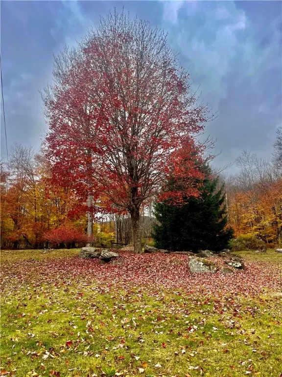 151 Taco Lane, Middletown, New York 12455, Middletown, New York 12455, 4 Bedrooms Bedrooms, 7 Rooms Rooms,1 BathroomBathrooms,Residential,For Sale,151 Taco Lane, Middletown, New York 12455,0,R1647904