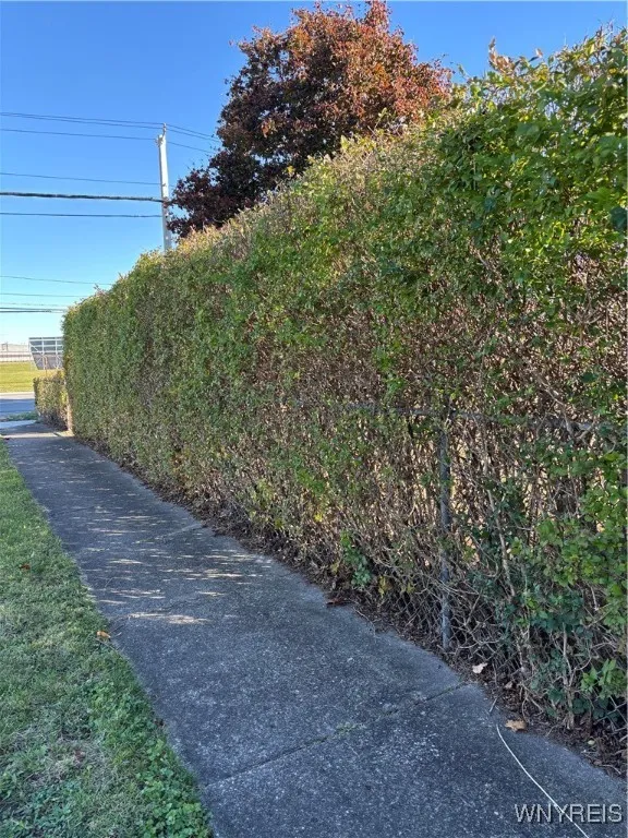 MAJORITY OF YARD OS BORDERED BY THESE TALL PRIVATE HEDGES