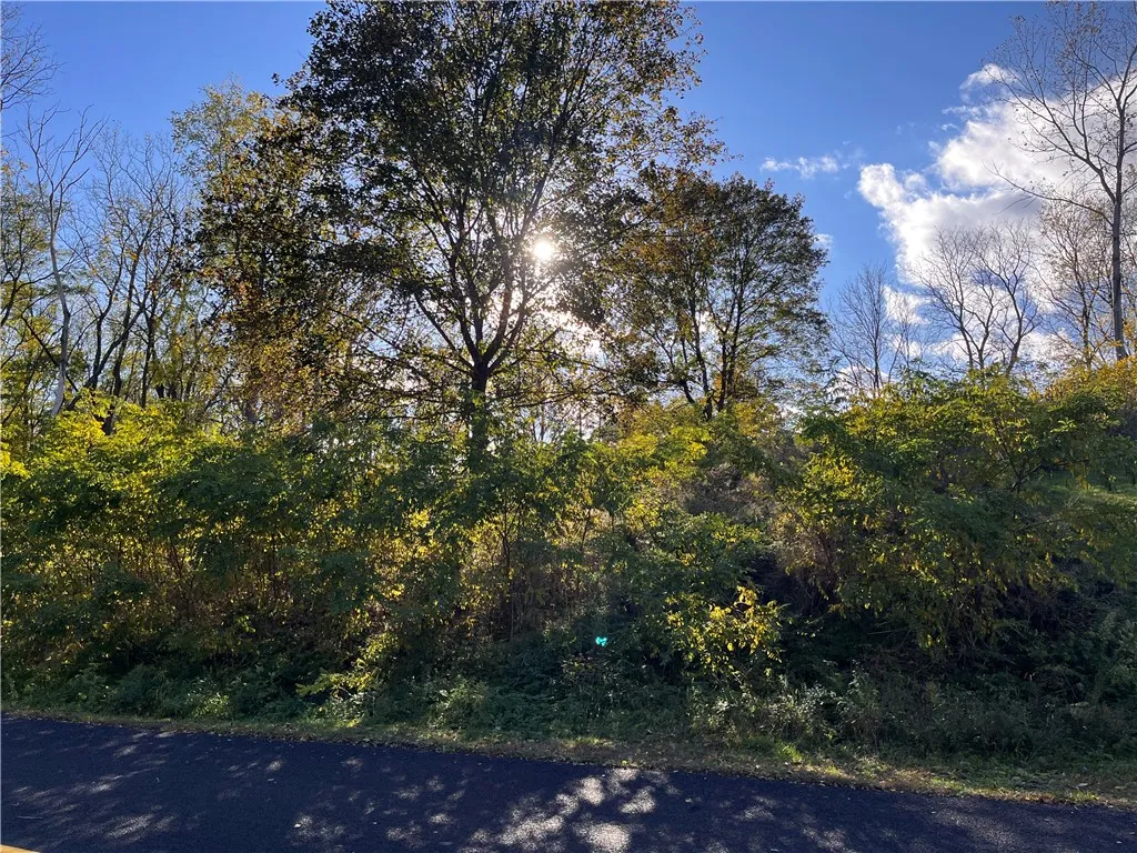9 Rabbit Run, East Bloomfield, New York 14469, East Bloomfield, New York 14469, ,Land,For Sale,9 Rabbit Run, East Bloomfield, New York 14469,0,R1647603