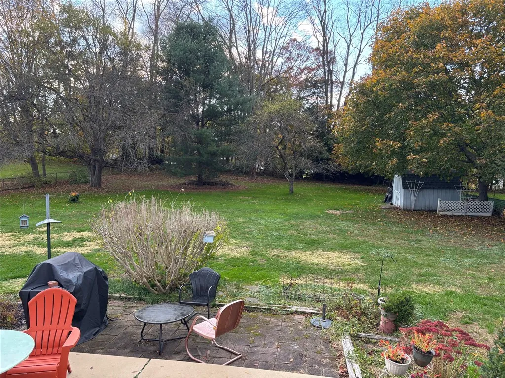 apple trees in back