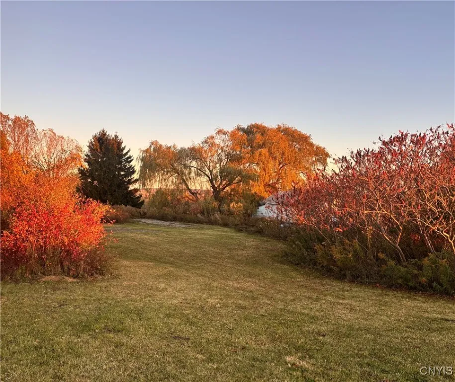 2680 Bear Swamp Road, Fenner, New York 13037, Fenner, New York 13037, ,Land,For Sale,2680 Bear Swamp Road, Fenner, New York 13037,0,S1646123