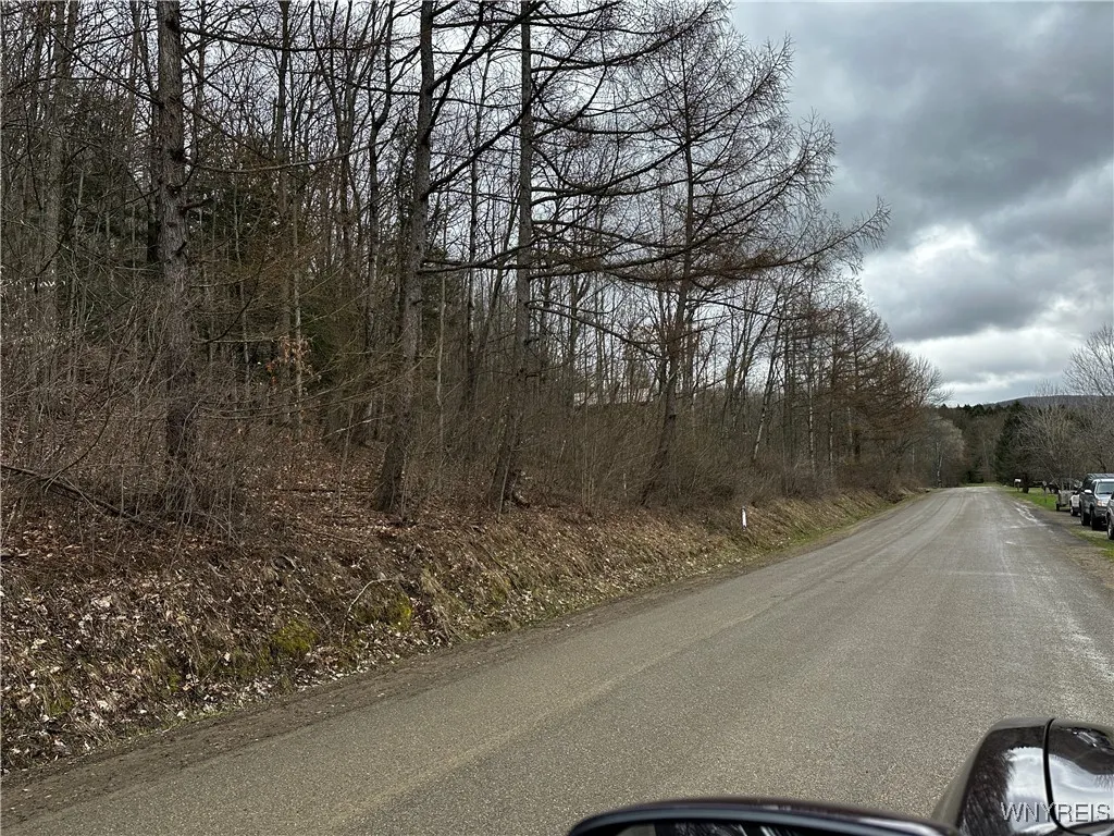 Porter Hollow Road, Great Valley, New York 14741, Great Valley, New York 14741, ,Land,For Sale,Porter Hollow Road, Great Valley, New York 14741,0,B1648051