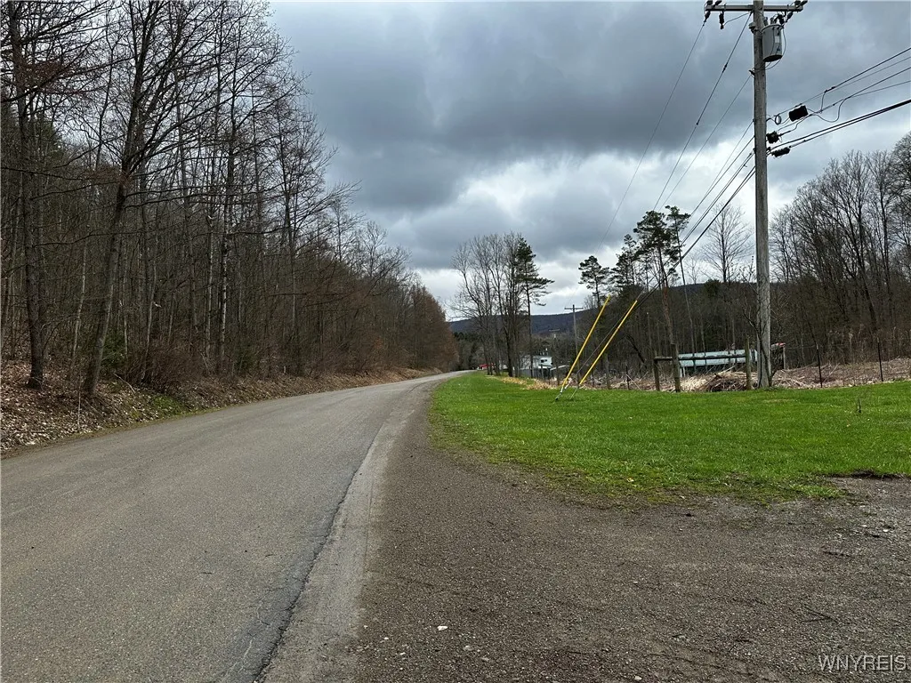 Porter Hollow Road, Great Valley, New York 14741, Great Valley, New York 14741, ,Land,For Sale,Porter Hollow Road, Great Valley, New York 14741,0,B1648051