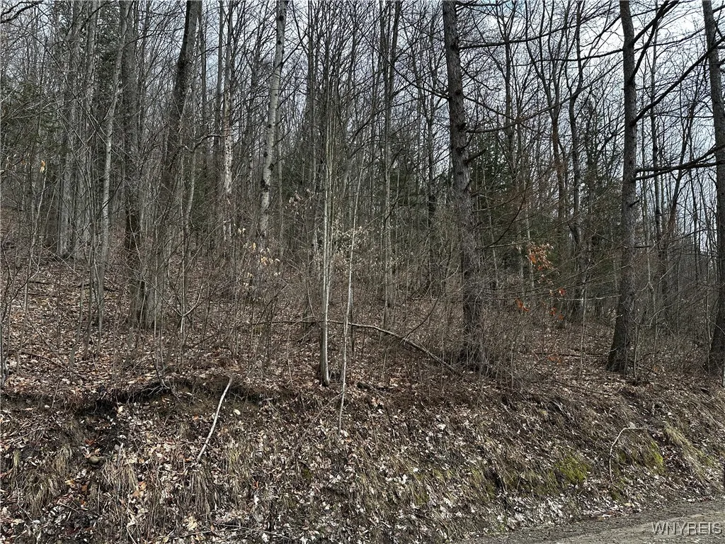 Porter Hollow Road, Great Valley, New York 14741, Great Valley, New York 14741, ,Land,For Sale,Porter Hollow Road, Great Valley, New York 14741,0,B1648051