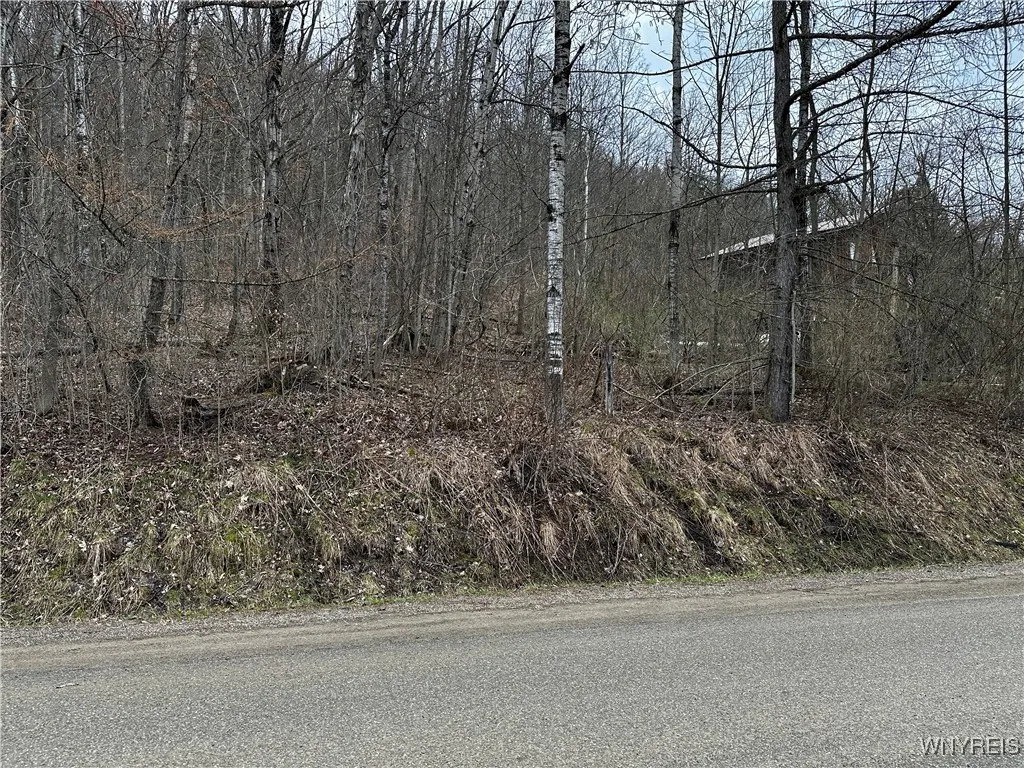 Porter Hollow Road, Great Valley, New York 14741, Great Valley, New York 14741, ,Land,For Sale,Porter Hollow Road, Great Valley, New York 14741,0,B1648051
