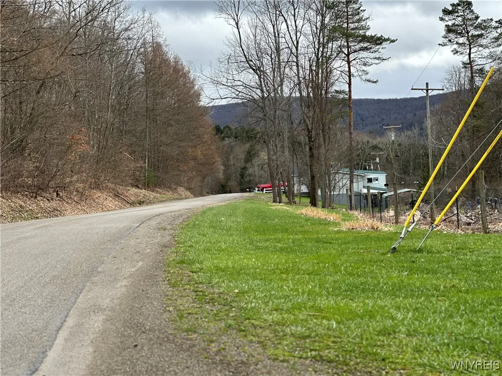 Porter Hollow Road, Great Valley, New York 14741, Great Valley, New York 14741, ,Land,For Sale,Porter Hollow Road, Great Valley, New York 14741,0,B1648051