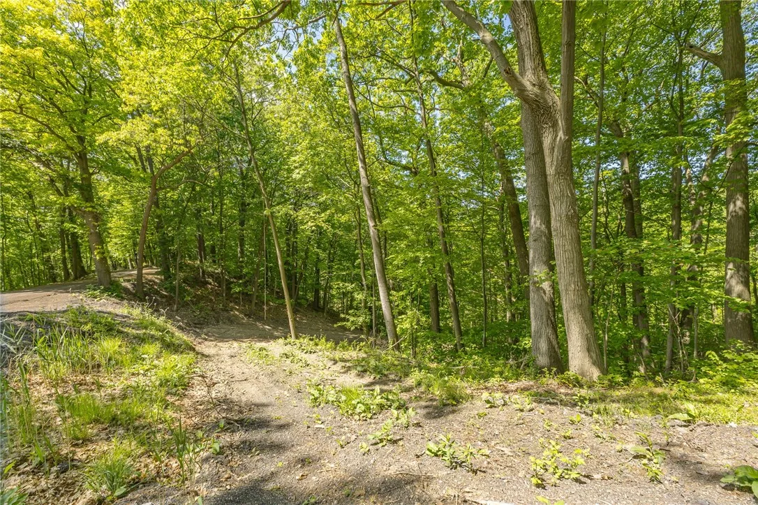 70 Avalon Trail, Penfield, New York 14580, Penfield, New York 14580, 2 Bedroom Bedrooms, 7 Room Rooms,2 BathroomBathrooms,Land,For Sale,70 Avalon Trail, Penfield, New York 14580,0,R1648119