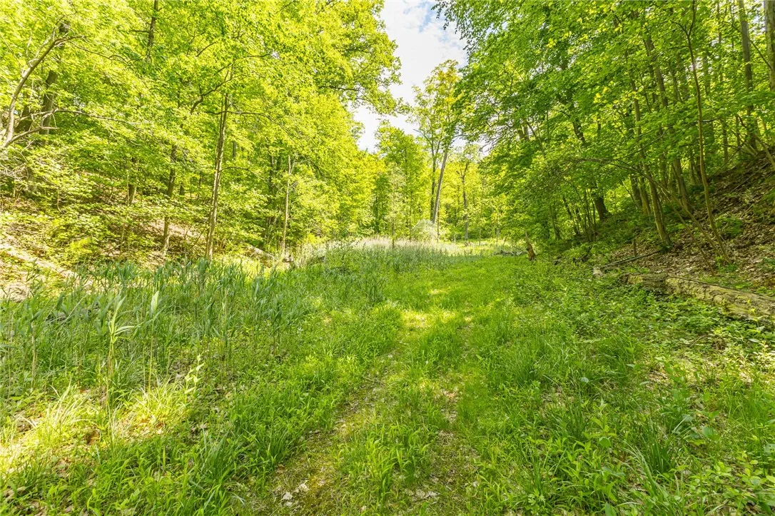 70 Avalon Trail, Penfield, New York 14580, Penfield, New York 14580, 2 Bedroom Bedrooms, 7 Room Rooms,2 BathroomBathrooms,Land,For Sale,70 Avalon Trail, Penfield, New York 14580,0,R1648119