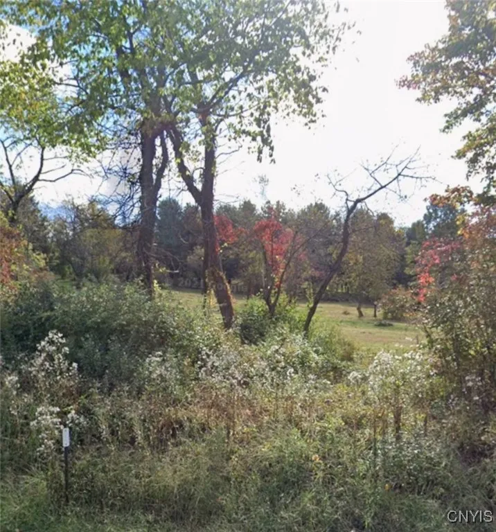 Willow Tree Road, Marlborough, New York 12547, Marlborough, New York 12547, ,Land,For Sale,Willow Tree Road, Marlborough, New York 12547,0,S1648012