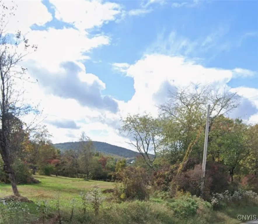 Willow Tree Road, Marlborough, New York 12547, Marlborough, New York 12547, ,Land,For Sale,Willow Tree Road, Marlborough, New York 12547,0,S1648012