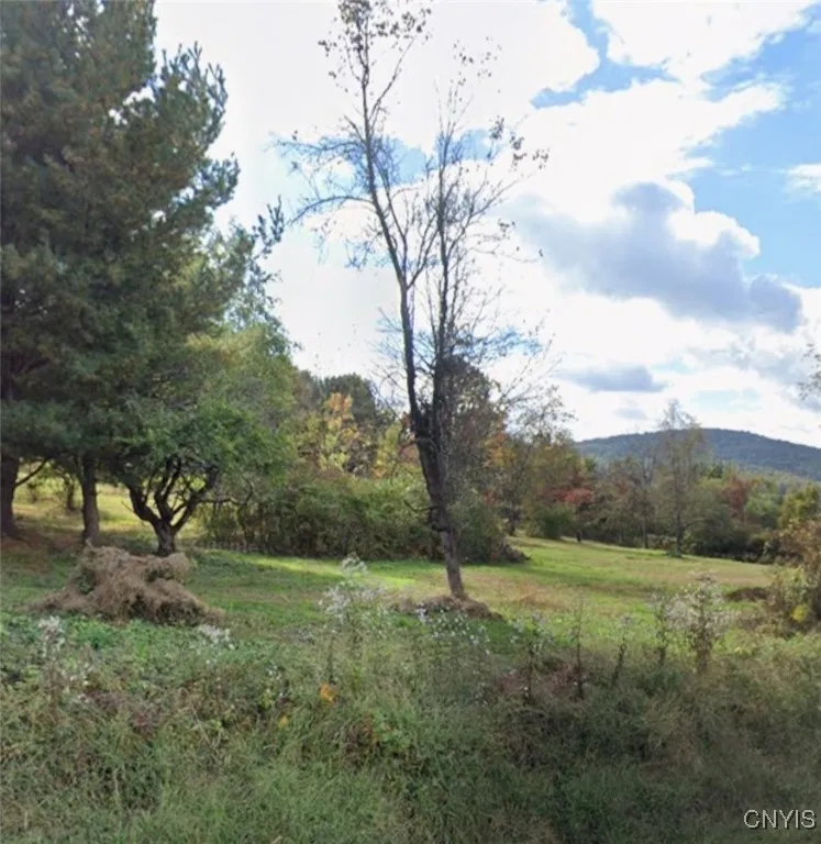 Willow Tree Road, Marlborough, New York 12547, Marlborough, New York 12547, ,Land,For Sale,Willow Tree Road, Marlborough, New York 12547,0,S1648012