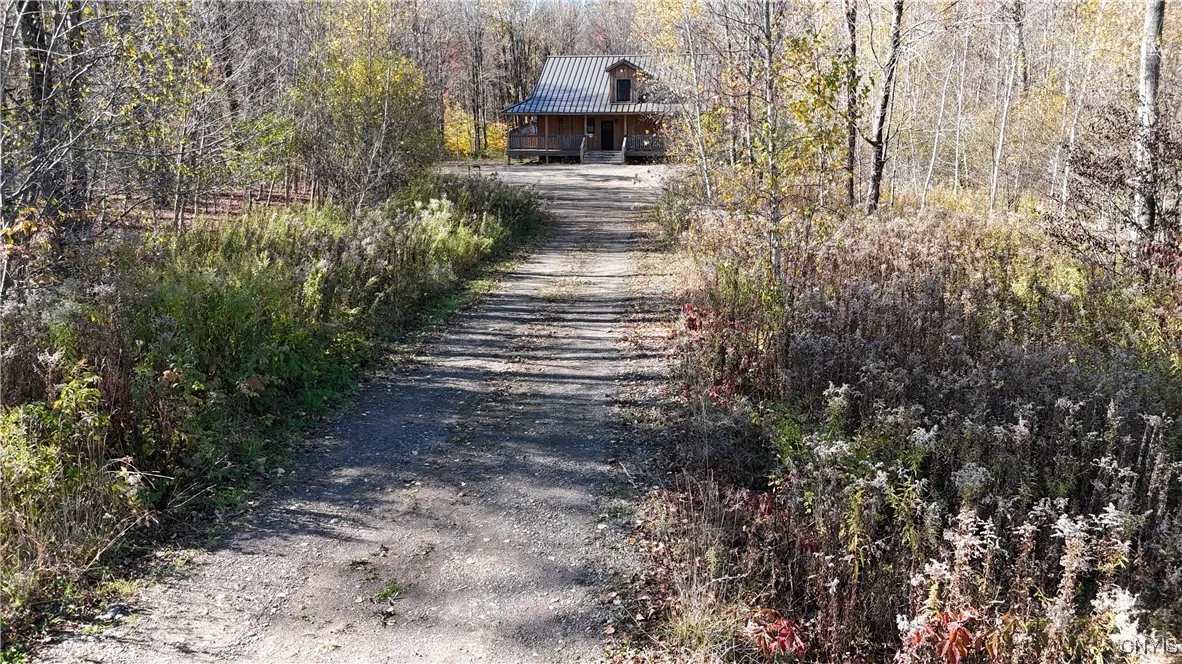 The driveway to the property