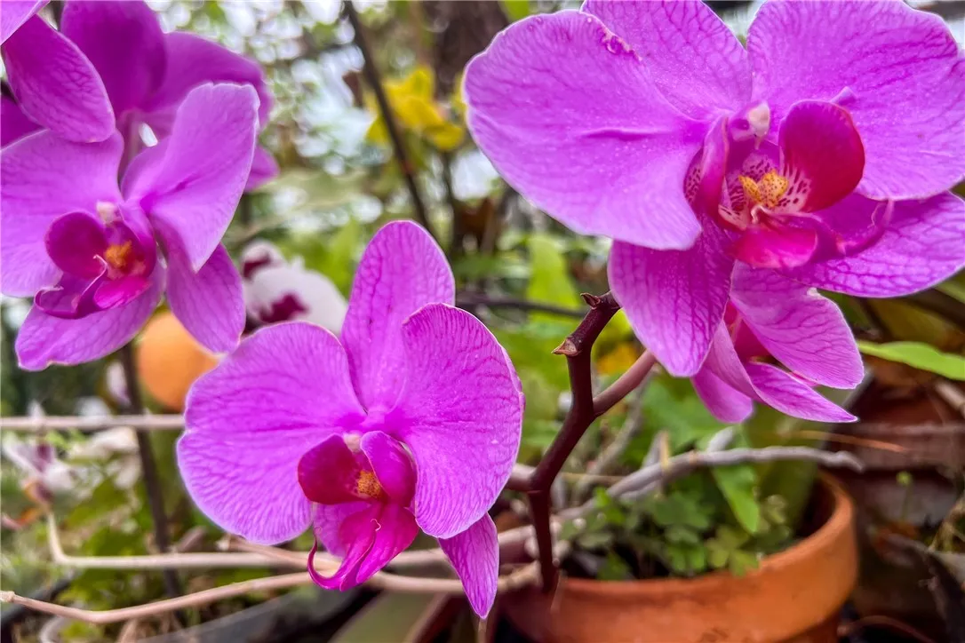 265 Main Street, Delhi, New York 13753, Delhi, New York 13753, 3 Bedrooms Bedrooms, 10 Rooms Rooms,1 BathroomBathrooms,Residential,For Sale,265 Main Street, Delhi, New York 13753,0,R1647091