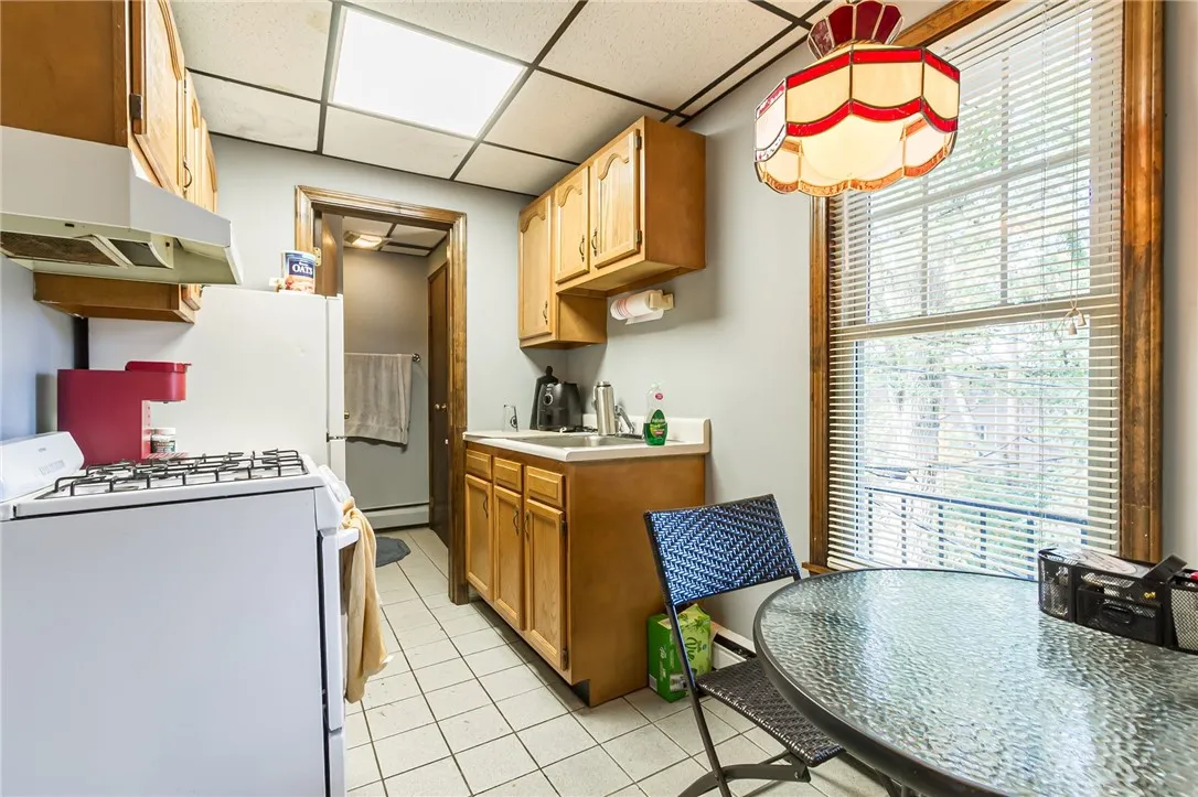 110 Park Avenue, Rochester, New York 14607, Rochester, New York 14607, 5 Bedrooms Bedrooms, ,Multi Family,For Sale,110 Park Avenue, Rochester, New York 14607,0,R1647664