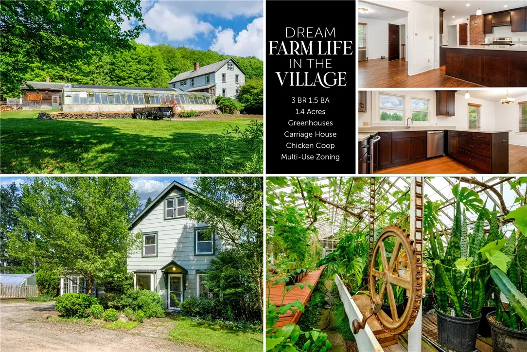 265 Main Street, Delhi, New York 13753, Delhi, New York 13753, 3 Bedrooms Bedrooms, ,1 BathroomBathrooms,Residential,For Sale,265 Main Street, Delhi, New York 13753,0,R1647092