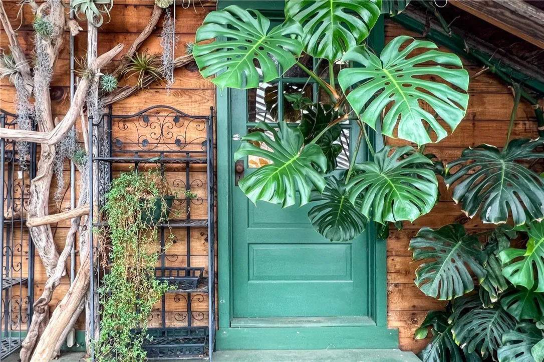 265 Main Street, Delhi, New York 13753, Delhi, New York 13753, 3 Bedrooms Bedrooms, ,1 BathroomBathrooms,Residential,For Sale,265 Main Street, Delhi, New York 13753,0,R1647092