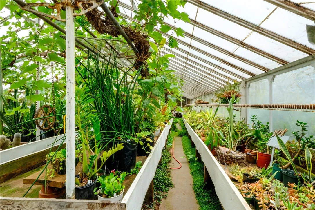 265 Main Street, Delhi, New York 13753, Delhi, New York 13753, 3 Bedrooms Bedrooms, ,1 BathroomBathrooms,Residential,For Sale,265 Main Street, Delhi, New York 13753,0,R1647092