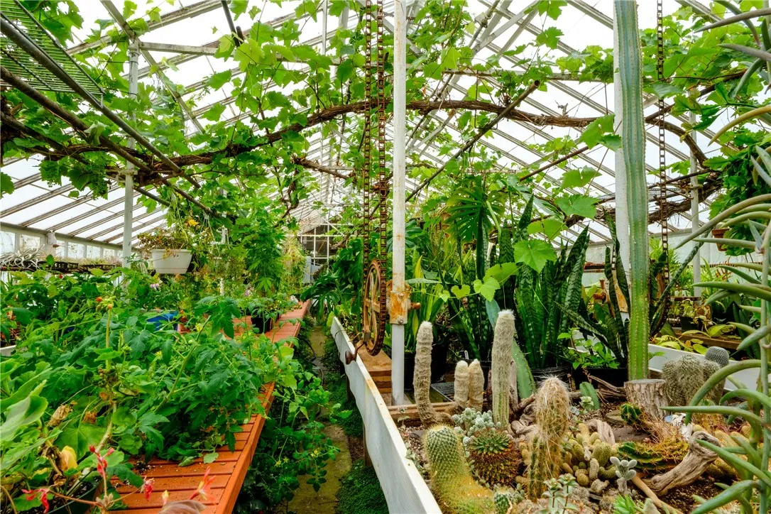 265 Main Street, Delhi, New York 13753, Delhi, New York 13753, 3 Bedrooms Bedrooms, ,1 BathroomBathrooms,Residential,For Sale,265 Main Street, Delhi, New York 13753,0,R1647092