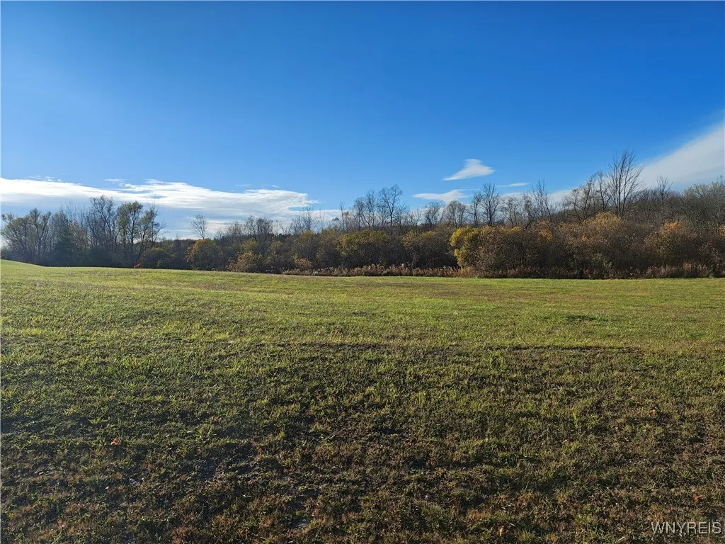 0 Donahue Road, Batavia, New York 14020, Batavia, New York 14020, ,Land,For Sale,0 Donahue Road, Batavia, New York 14020,0,B1648276