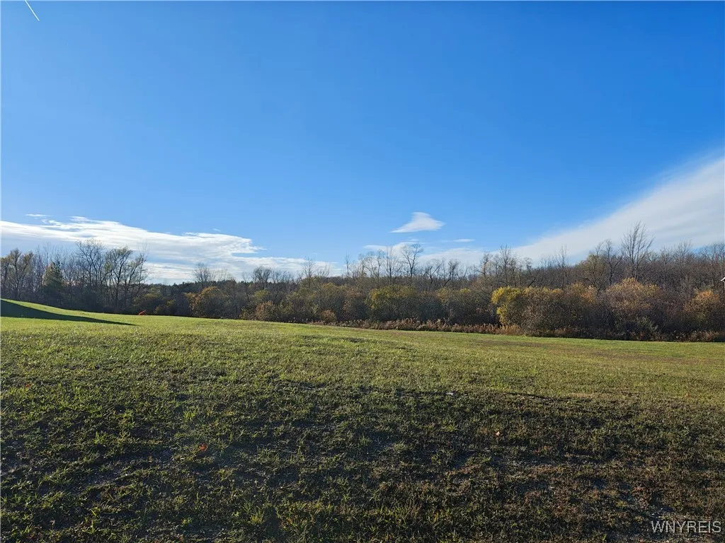 0 Donahue Road, Batavia, New York 14020, Batavia, New York 14020, ,Land,For Sale,0 Donahue Road, Batavia, New York 14020,0,B1648276