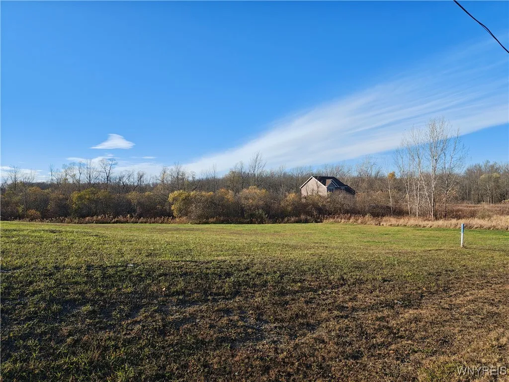 0 Donahue Road, Batavia, New York 14020, Batavia, New York 14020, ,Land,For Sale,0 Donahue Road, Batavia, New York 14020,0,B1648276