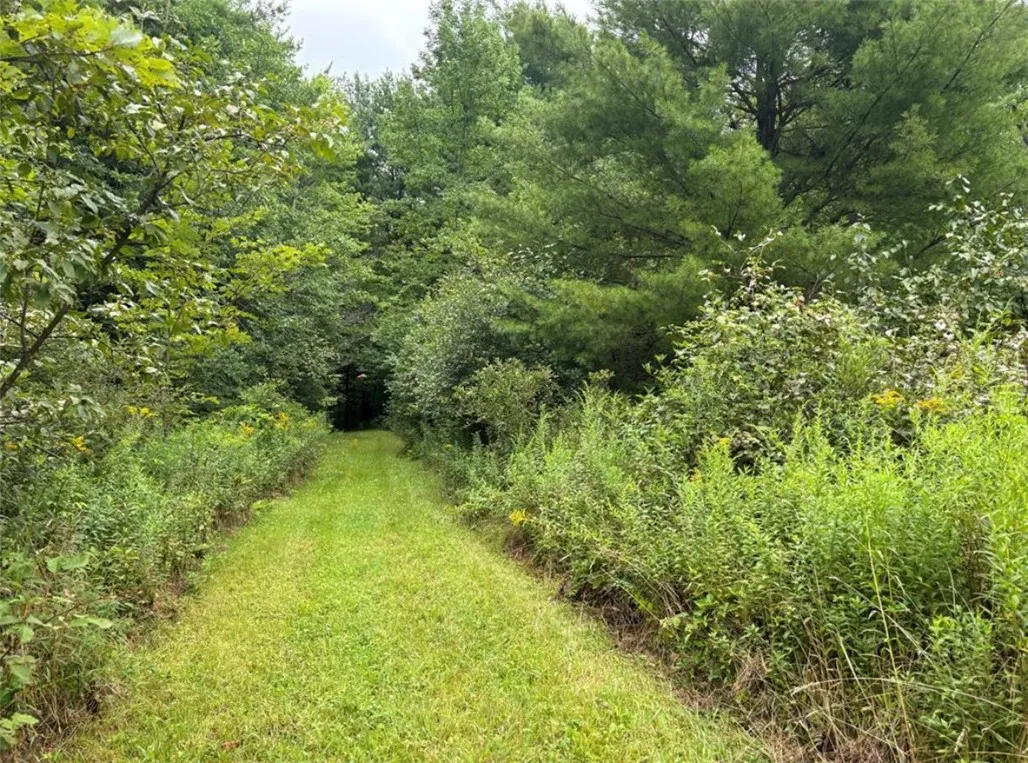 00 Browntown Road Lot 3, Lindley, New York 14858, Lindley, New York 14858, ,Land,For Sale,00 Browntown Road Lot 3, Lindley, New York 14858,0,R1648084