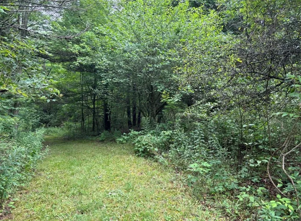 00 Browntown Road Lot 3, Lindley, New York 14858, Lindley, New York 14858, ,Land,For Sale,00 Browntown Road Lot 3, Lindley, New York 14858,0,R1648084