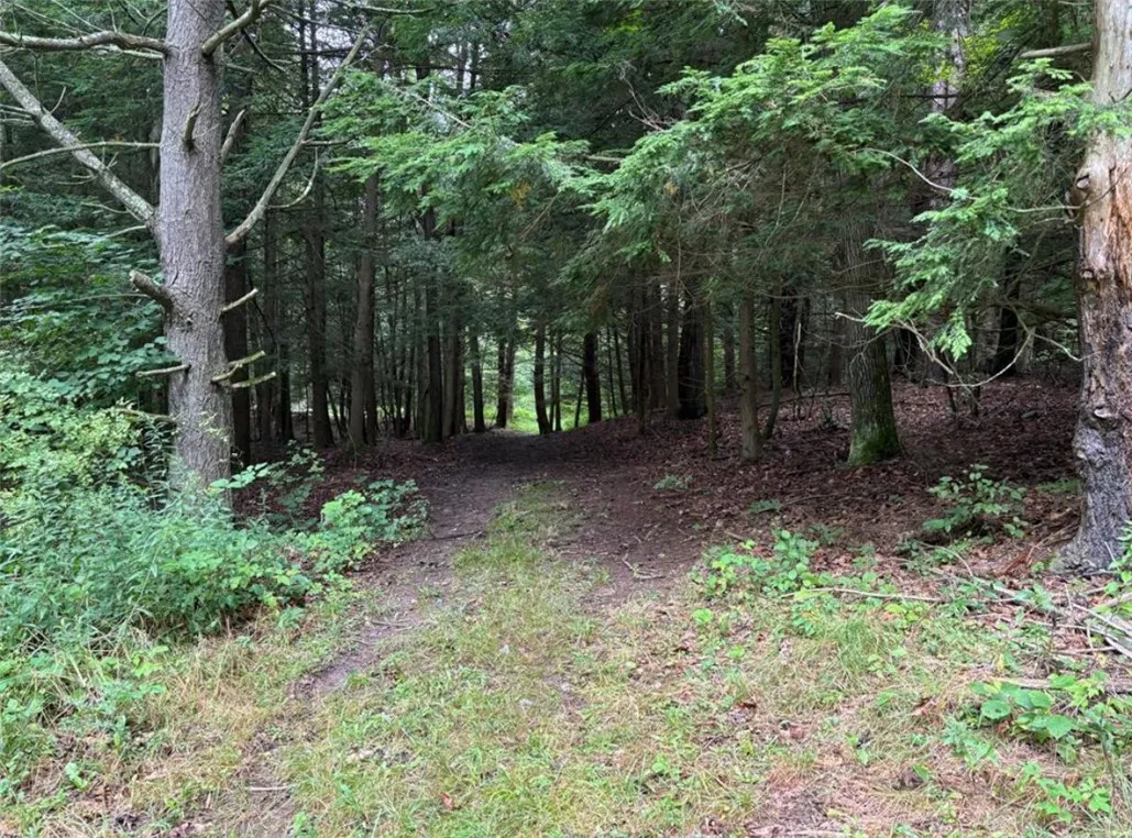 00 Browntown Road Lot 3, Lindley, New York 14858, Lindley, New York 14858, ,Land,For Sale,00 Browntown Road Lot 3, Lindley, New York 14858,0,R1648084