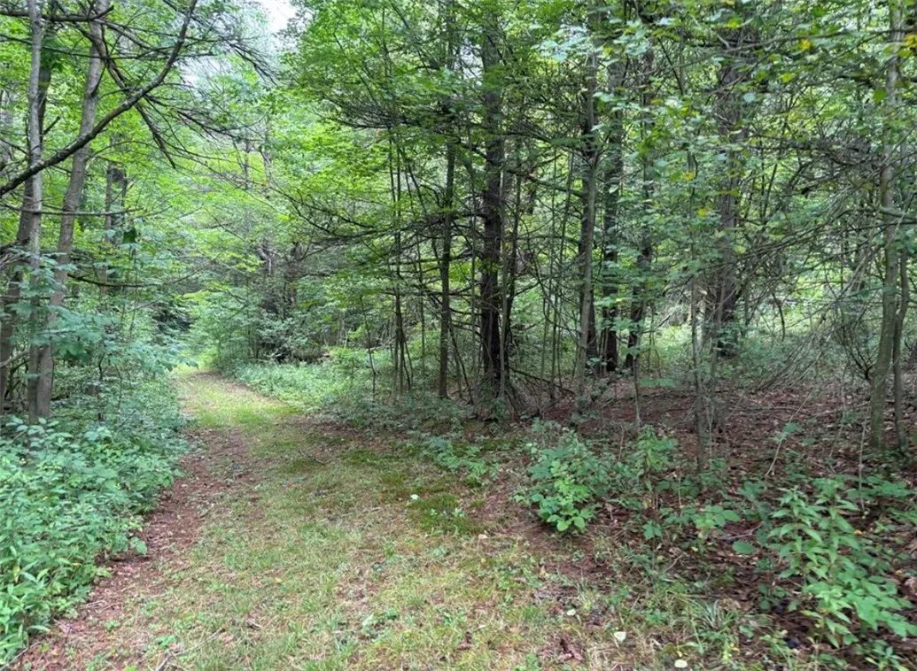 00 Browntown Road Lot 3, Lindley, New York 14858, Lindley, New York 14858, ,Land,For Sale,00 Browntown Road Lot 3, Lindley, New York 14858,0,R1648084