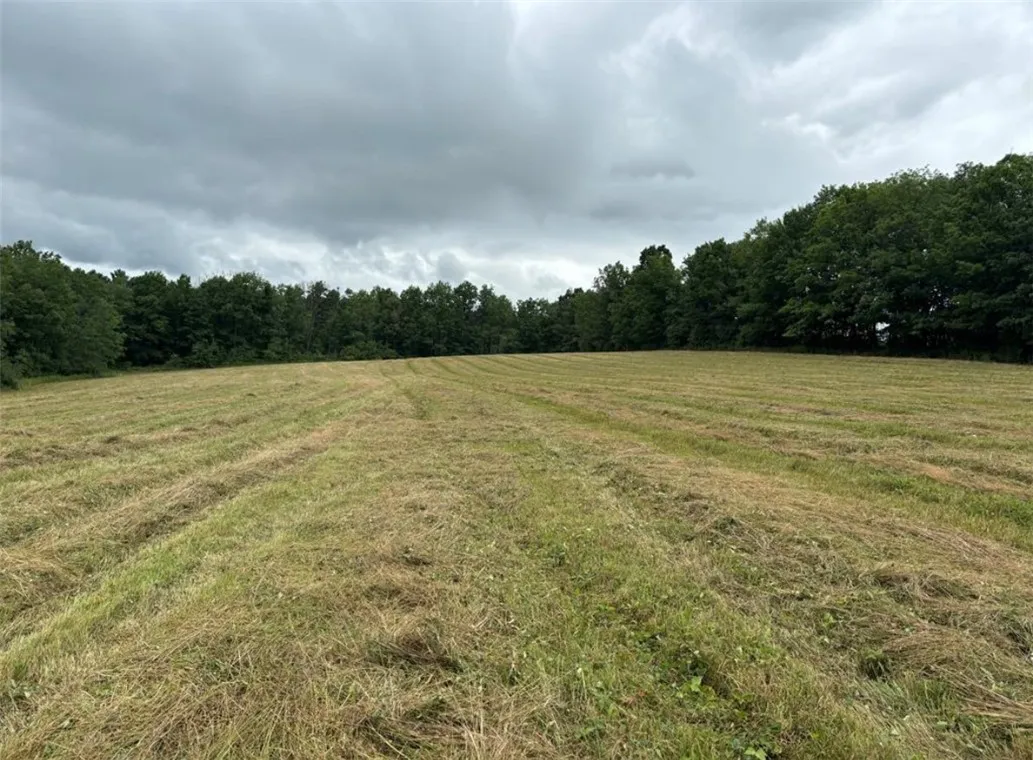 00 Browntown Road Lot 3, Lindley, New York 14858, Lindley, New York 14858, ,Land,For Sale,00 Browntown Road Lot 3, Lindley, New York 14858,0,R1648084