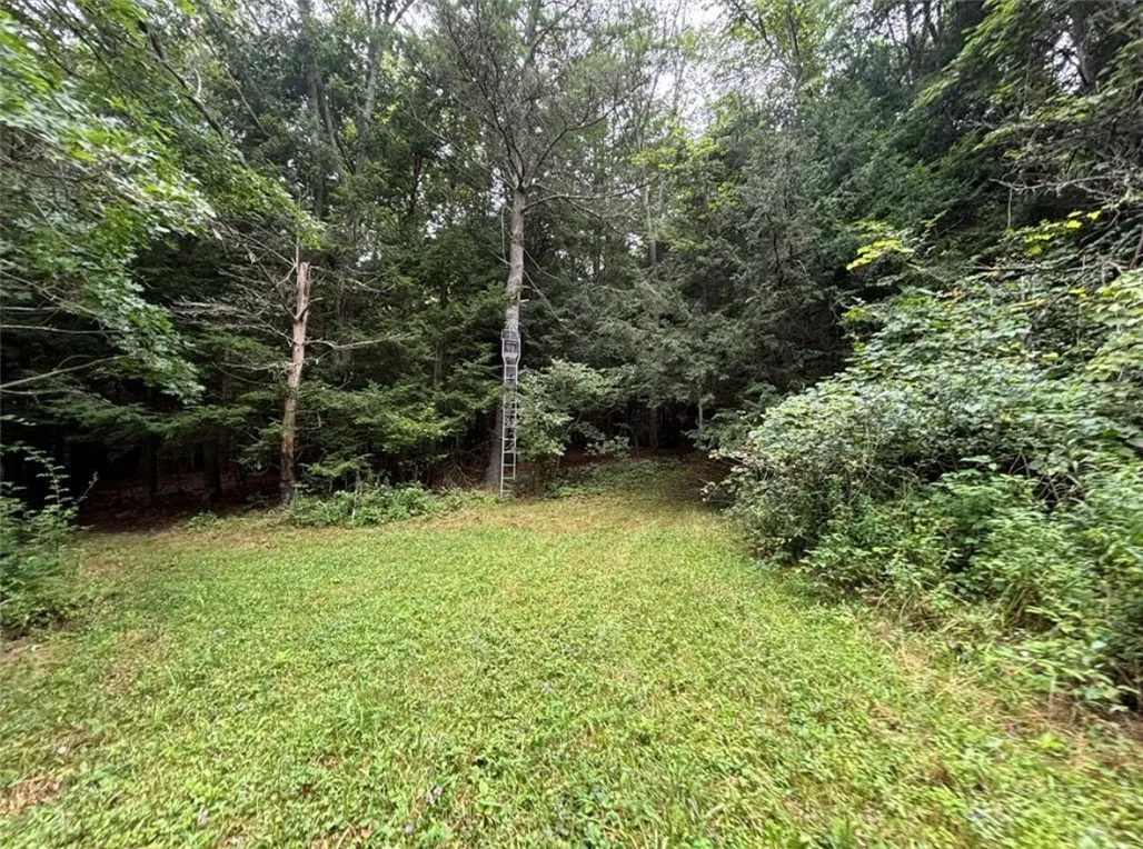 00 Browntown Road Lot 3, Lindley, New York 14858, Lindley, New York 14858, ,Land,For Sale,00 Browntown Road Lot 3, Lindley, New York 14858,0,R1648084