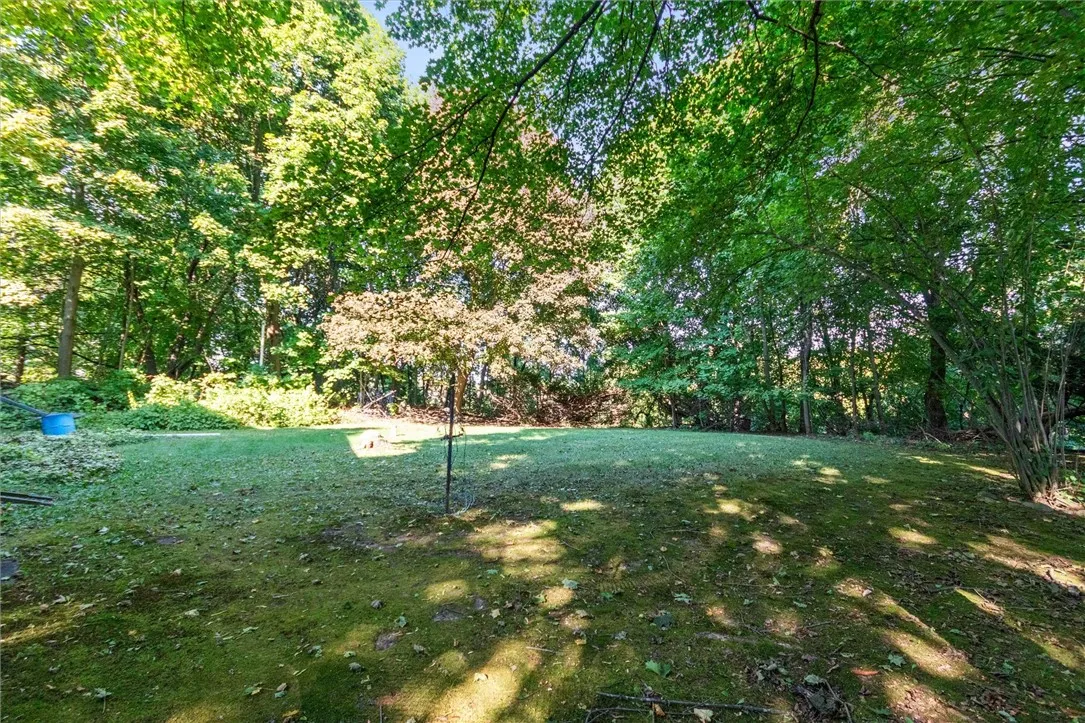 back​​‌​​​​‌​​‌‌​‌‌​​​‌‌​‌​‌​‌​​​‌​​ yard