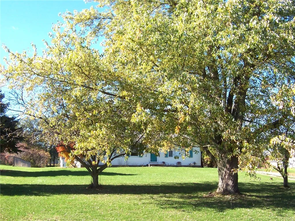 Front View From Road