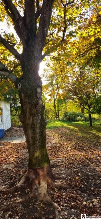 262 Temple Street, Pomfret, New York 14063, Pomfret, New York 14063, 2 Bedrooms Bedrooms, 7 Rooms Rooms,1 BathroomBathrooms,Residential,For Sale,262 Temple Street, Pomfret, New York 14063,0,R1648272