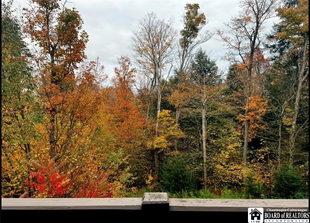 8034 Northgate 8034, French Creek, New York 14724, French Creek, New York 14724, 2 Bedrooms Bedrooms, 5 Rooms Rooms,2 BathroomsBathrooms,Residential,For Sale,8034 Northgate 8034, French Creek, New York 14724,0,R1646595