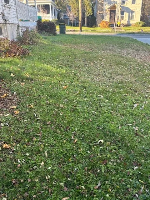 12 Rexford Street, Norwich, New York 13815, Norwich, New York 13815, 5 Bedrooms Bedrooms, 11 Rooms Rooms,1 BathroomBathrooms,Residential,For Sale,12 Rexford Street, Norwich, New York 13815,0,R1645260