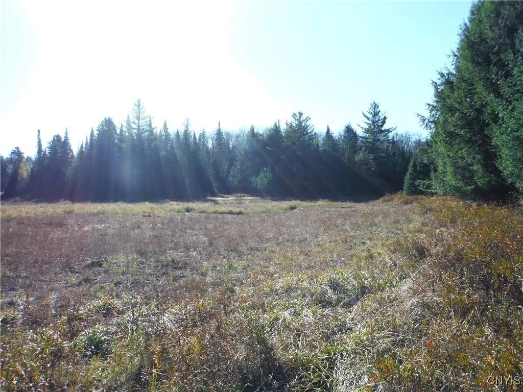 view of part of beaver meadow