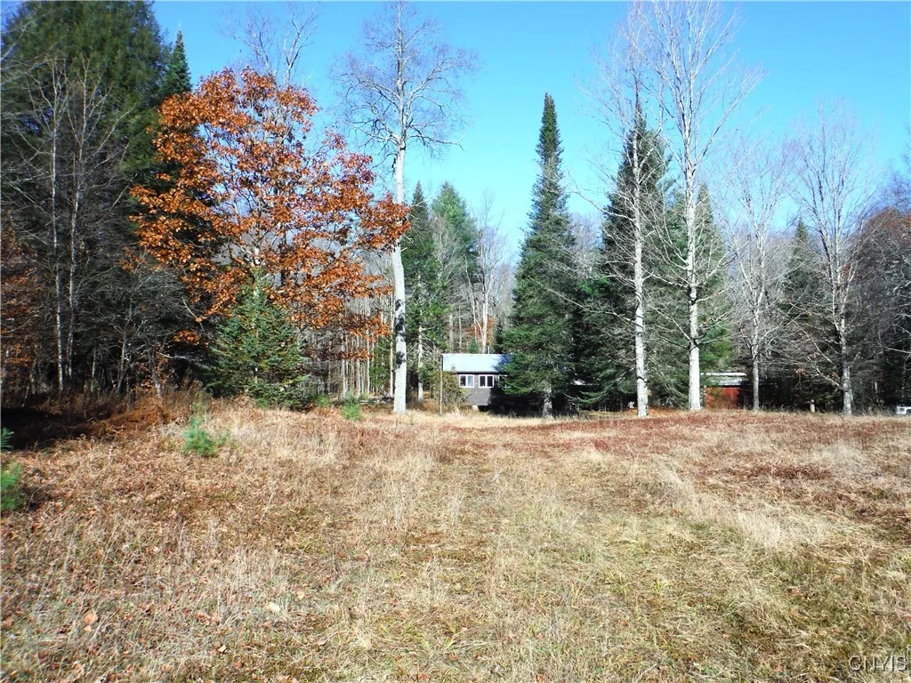 meadow to cabin view
