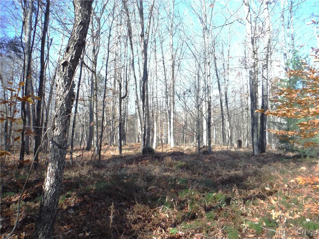 00x Buck Lake Road, Forestport, New York 13338, Forestport, New York 13338, 1 Bedroom Bedrooms, ,Land,For Sale,00x Buck Lake Road, Forestport, New York 13338,0,S1647600